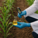 Resolución 026 de AGROCALIDAD: Un nuevo estándar para la inspección de ensayos de plaguicidas en Ecuador